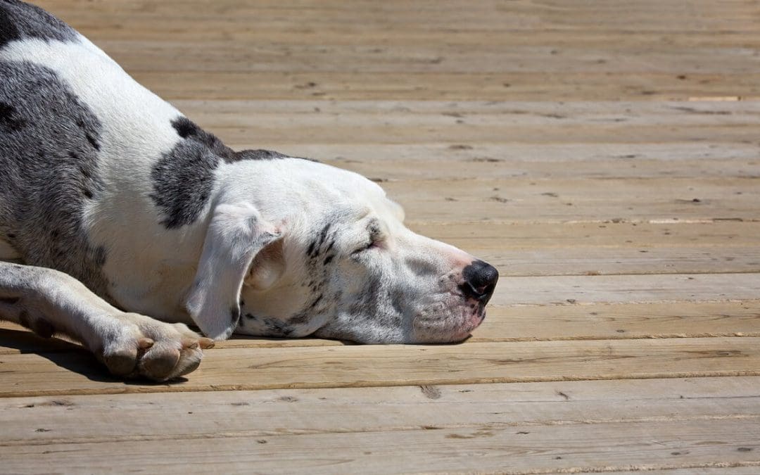 deck safety